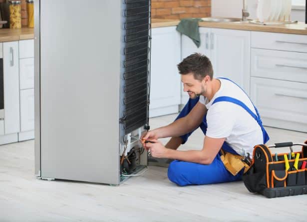 Professional Samsung Fridge Repair Services