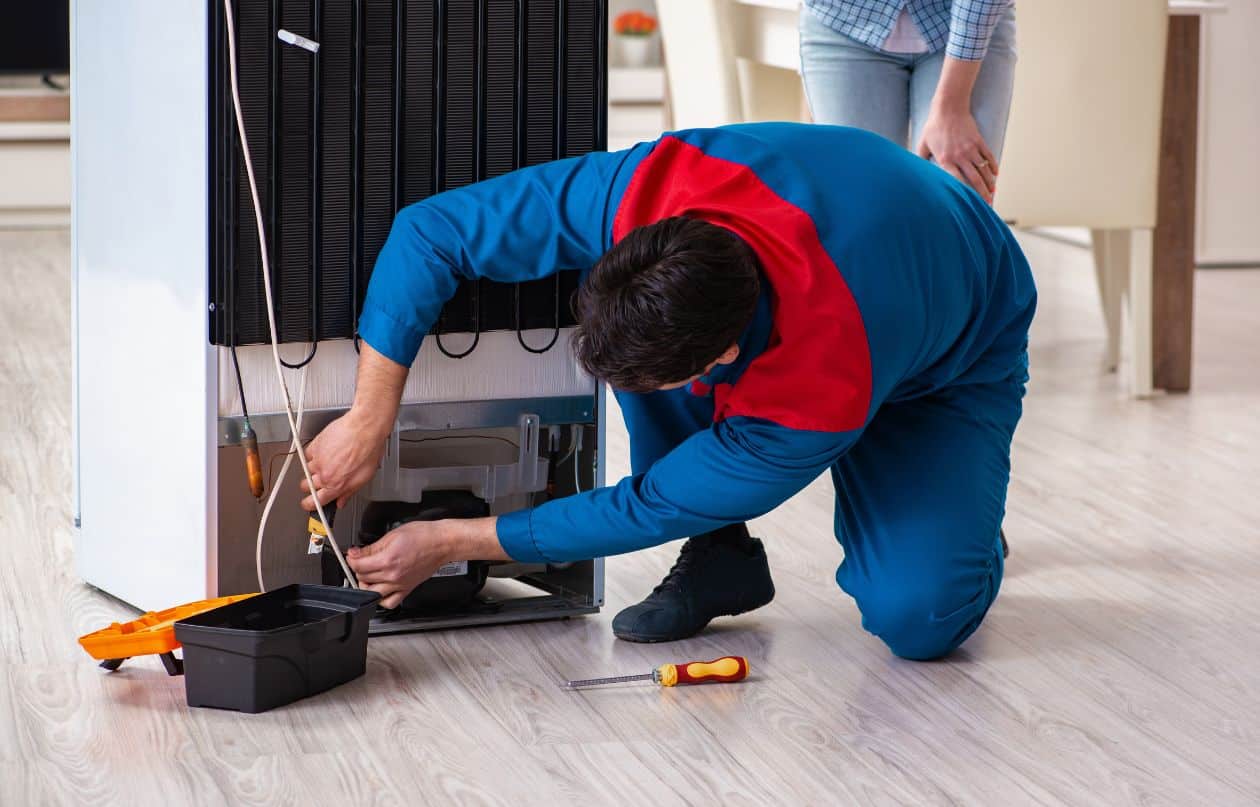 Samsung Freezer Repair